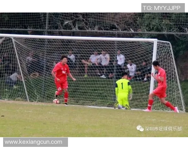 深圳排球队转型之路：从传统强队到新兴力量的全面解析